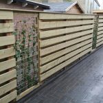 Schutting met hedera beplanting Roden